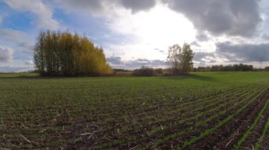 Ekim ayında filizlenen ekin tarlaları ve bulutların hareketleri, zaman aşımı
