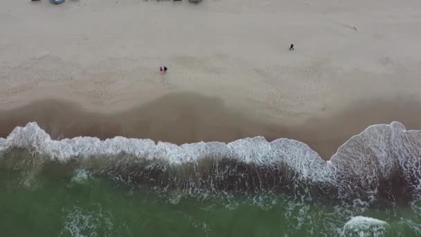 Bałtycka Plaża Fale Kurońska Ślina Widok Lotu Ptaka — Wideo stockowe