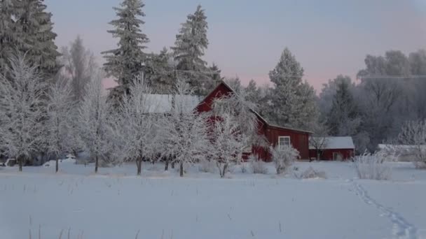 Морозні Зимові Дерева Стара Червона Садиба — стокове відео