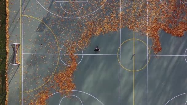 Над Спортивным Полем Покрыты Листья Осенью Вид Воздуха — стоковое видео