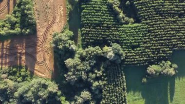 Doğa parkındaki yaz sonu tarlaları ve bahçeleri, hava manzarası.