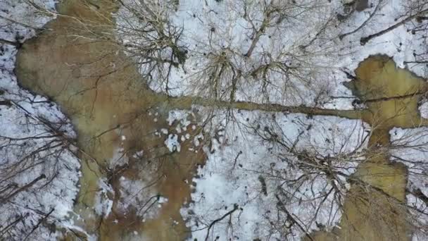 Agua Deshielo Primavera Nieve Bosque Vista Aérea — Vídeo de stock