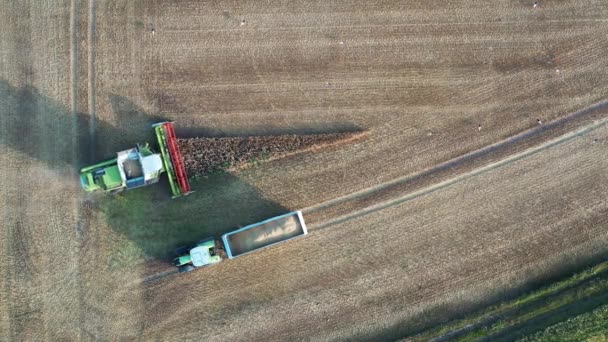 Hasat Makinesi Son Buğday Hava Manzarasını Kesmeyi Bitirdi — Stok video