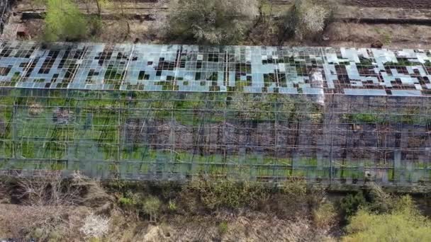Old Abandoned Ruined Greenhouse Aerial View — Stock Video