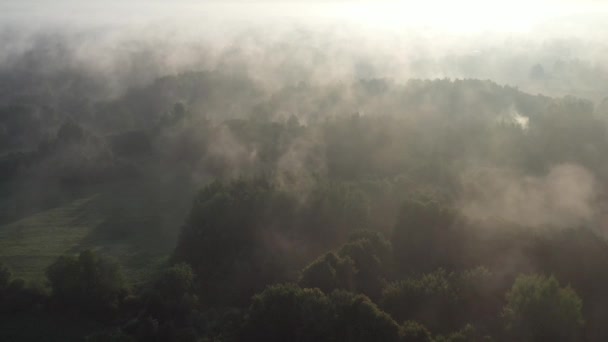 Letní Krajina Plovoucí Ranní Mlha Letecký Pohled — Stock video