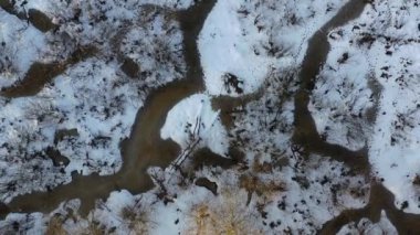Kunduzlar, kışın Castor fiber dünyası, hava manzarası.