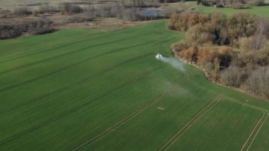 Traktör, ilkbahar buğday tarlasına gübre yayar.