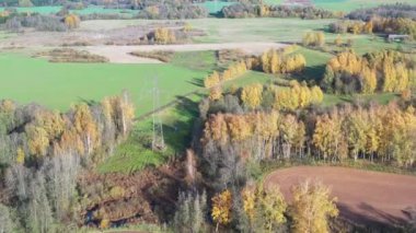 Doğa parkında, altın Ekim 'in üzerinde, hava manzarası 