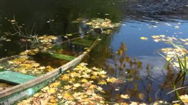 Sel basmış sonbahar teknesi nehirde ve sarı Ekim yaprakları