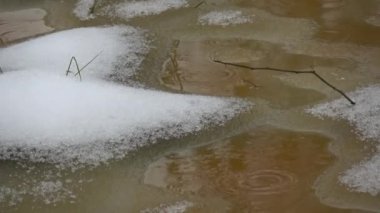 Kış sonu. Bataklık ormanlarında bahar seli ve yağmur