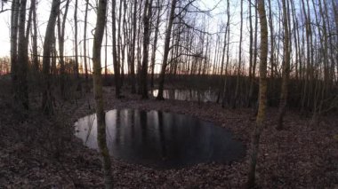 Ormanda ve su birikintilerinde erken bahar gündoğumu, zaman aşımı