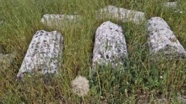 Epidaurus, Moreloponnese, Yunanistan 'daki antik Yunan medeniyetinin kalıntıları mermer sütunlar