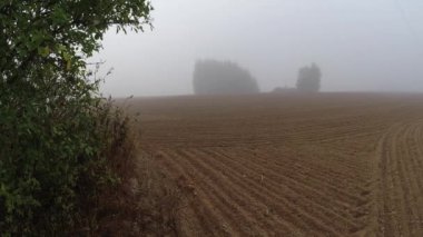 Sonbahar sabahı sisi tarlaya yayıldı, zaman aşımına uğradı