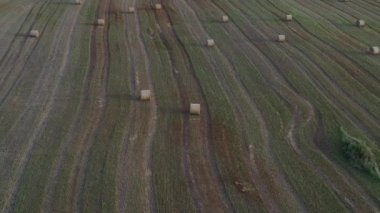 Yaz sonu çayırlarında saman balyaları, hava manzarası