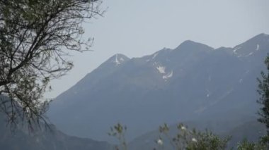 Efsanevi Sparta, Moreloponnese, Yunanistan 'da dağlar ve zeytin ağaçları