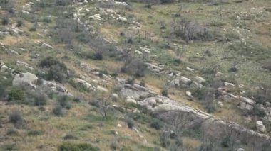 Efsanevi Mycenae, Moreloponnese, Yunanistan 'ın kalıntılarının yakınındaki dağ