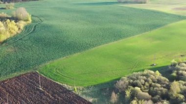 Sabahın erken saatlerinde ilkbahar tarlaları, hava manzarası.