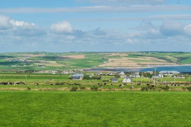 İrlanda kırsalında panoramik manzara