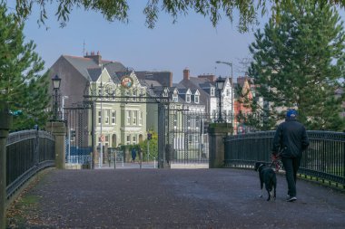 Cork City, İrlanda 'da renkli ve güzel evler.