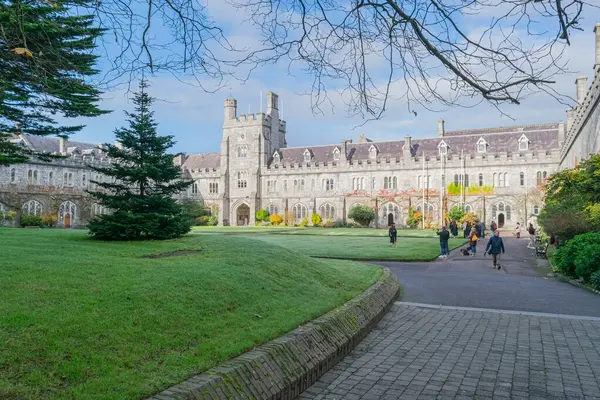 stock image CORK CITY, IRELAND - NOVEMBER 22, 2020: View of the 