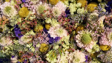 Parlak güneş ışığında panoramik çiçek duvarı