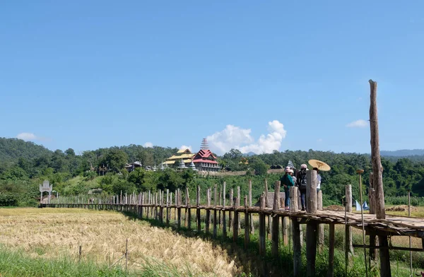 一群游客在老竹桥上走过金色的稻田 收获后从乡村来到当地寺庙 带着观光台观光台 — 图库照片