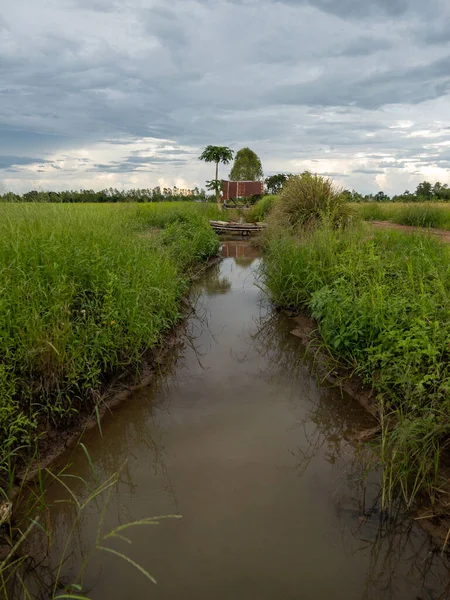 Petit Canal Pour Irrigation Dans Saison Agricole Rizière Rurale Vue — Photo