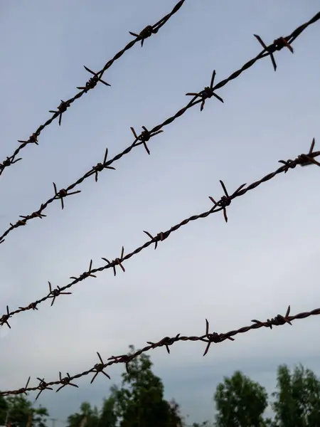 Closeup of the barbed wire stretched in the twilight time to prevent intruders from irrigation officers\' houses that control the sluice gate in the countryside, front view with the copy space.