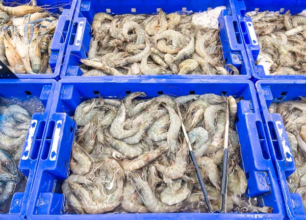 Closeup of the variety of fresh shrimp with the crushed ice in the plastic tray for sale in the market, above view for the background, front view with the copy space.