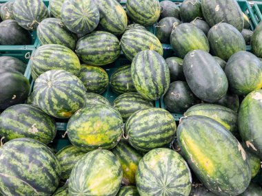 Tatlı karpuzlar organik çiftliklerden süpermarkette satılık plastik tepside, arka plan manzaralı.