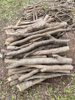 Yerel evin yakınındaki küçük yakacak odunların istiflenmesi aşçılıkta kullanılacak, arka plan için ön manzara..