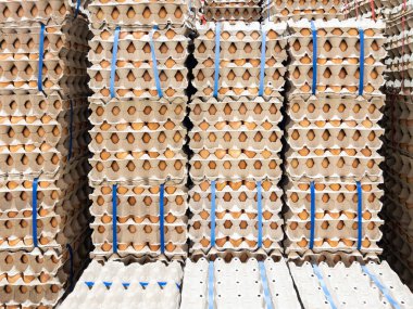 Kağıttan yapılan ve plastik kayışlı yumurta panellerinin yakın çekimleri süpermarkette satılık duvarın yanında duruyor, arka plan için ön manzara.