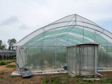 A sustainable greenhouse located on a scenic mountain orchard, crafted for fruit and plant cultivation. This facility features a controlled environment to enhance plant growth while ensuring protection from external elements, front view with the copy clipart