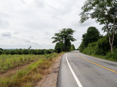 Sakin bir asfalt yol, yemyeşil ağaçlar ve yemyeşil ağaçlar tarafından çerçevelenmiş, dağlık bir tepedeki canlı kasava tarlaları boyunca kıvrılır. Seyahat, doğa ve kırsal stok fotoğrafları için idealdir. Bu manzara barış ve macerayı çağrıştırır..