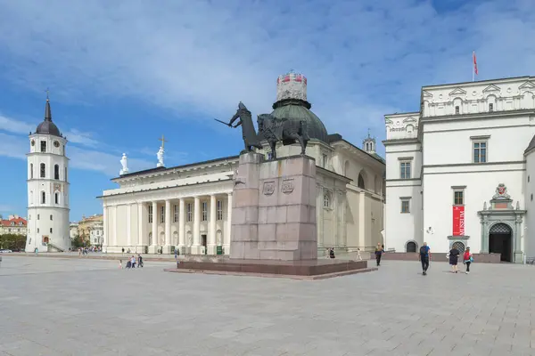 リトアニア ヴィリニュス 2023年11月11日 セントスタニスラウス大聖堂とヴィリニュス聖ラディスラウス大聖堂 ストック画像