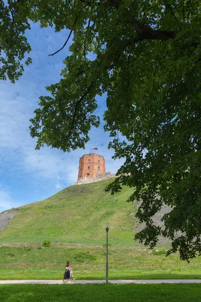 Vilnius Lithuania August 2023 Gediminas Hill Tower — Stock Photo, Image