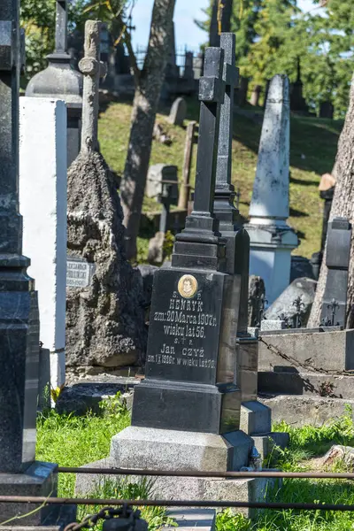 Vilna Lituania Agosto 2023 Cementerio Rossa Vilna Descripción General —  Fotos de Stock