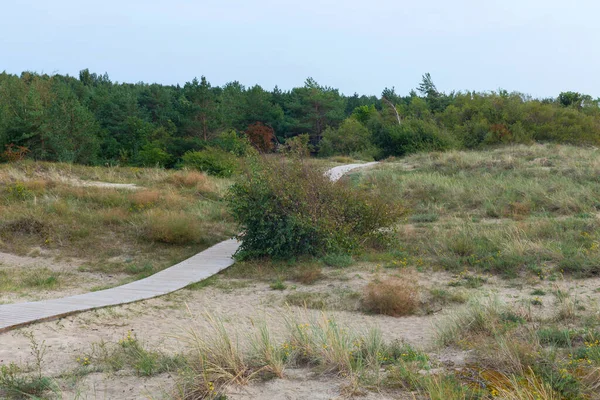 リトアニアのクライペダ市近くの砂の上に木製の道 — ストック写真