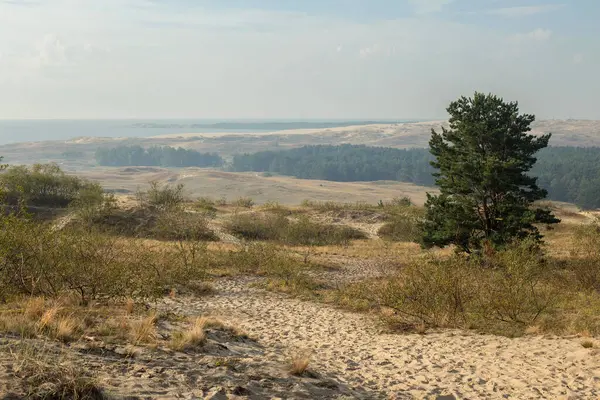 Νάιντα Νερίνγκα Λιθουανία Nida Χρυσή Αμμουδιά Στην Ομίχλη Royalty Free Εικόνες Αρχείου