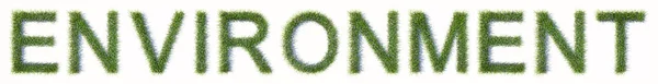 Konzept Oder Konzeptionelle Grüne Rasenrasen Bilden Den Umwelttext Isoliert Auf — Stockfoto