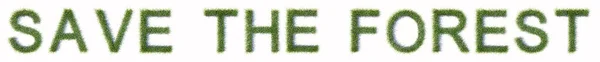 Концепция Концепция Зеленой Газонной Травы Образующей Сохранить Лесной Текст Изолированы — стоковое фото