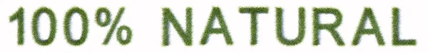 Konzept Oder Konzeptionelle Grüne Rasenrasen Bilden Den Text 100 Natural — Stockfoto