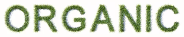 概念或概念上的绿色草坪草形成了一个独立于白色背景的有机词 3D自然 无化学物质和厚重食物的隐喻 — 图库照片