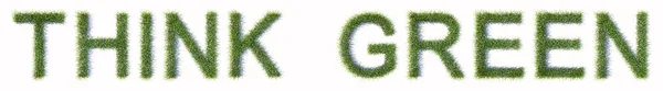 Koncepcja Lub Konceptualny Zielony Trawnik Tworzący Think Zielony Tekst Izolowany — Zdjęcie stockowe