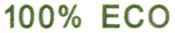Concept Conceptueel Groen Gazongras Vormt Tekst 100 Eco Witte Achtergrond — Stockfoto