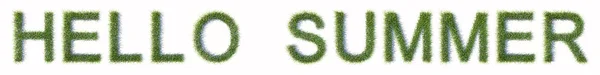 Beyaz Arkaplanda Izole Edilmiş Hello Yaz Metnini Oluşturan Kavramsal Yeşil — Stok fotoğraf