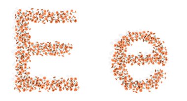 Concept or conceptual set of beautifull blooming gerberas bouquets forming the font E. 3d illustration metaphor for education, design and decoration, romance and love, nature, spring or summer.