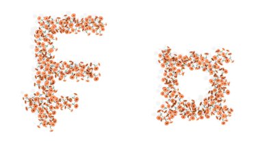 Concept or conceptual set of beautiful blooming gerberas bouquets forming currency signs. 3d illustration metaphor for education, design and decoration, romance and love, nature, spring or summer.