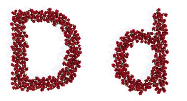 Concept or conceptual set of beautiful blooming red roses bouquets forming the font D. 3d illustration metaphor for education, design and decoration, romance and love, nature, spring or summer.
