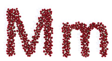 Concept or conceptual set of beautiful blooming red roses bouquets forming the font M. 3d illustration metaphor for education, design and decoration, romance and love, nature, spring or summer.